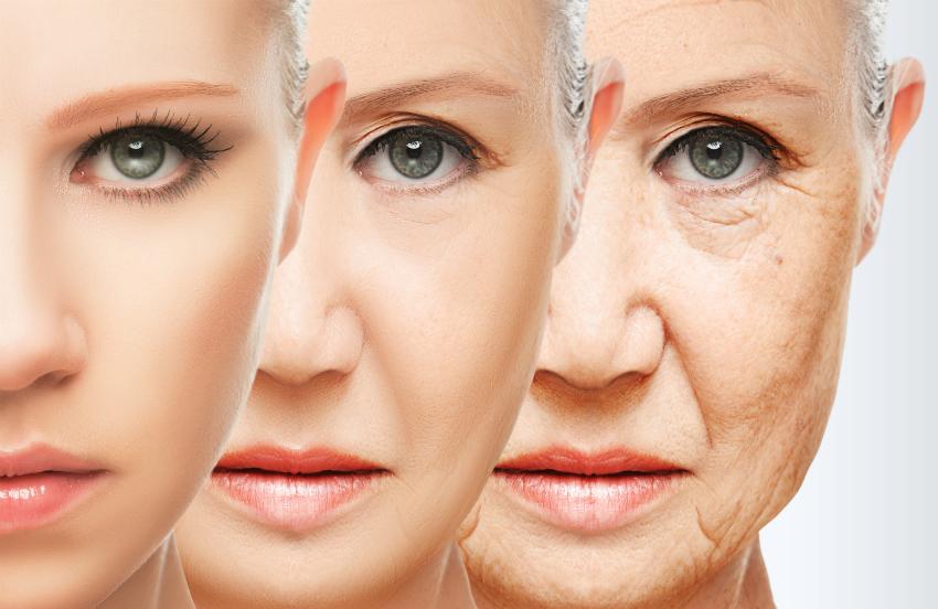 Die Veränderung der Haut mit zunehmenden Alter ab 50