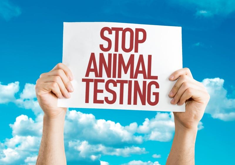 Stop Animal Testing