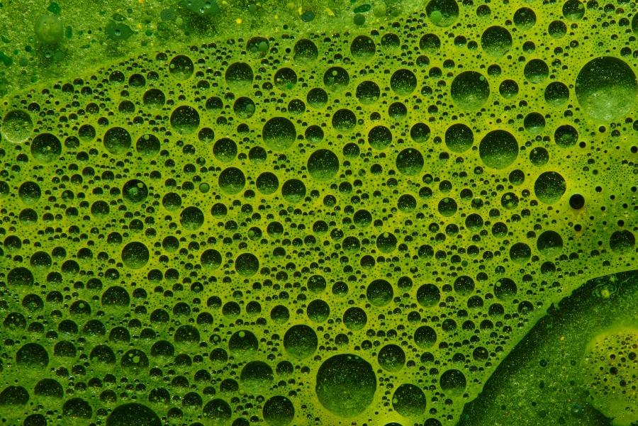 gruener-smoothie-chlorophyll