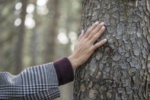 Haut in den Wechseljahren KORRES Menopause