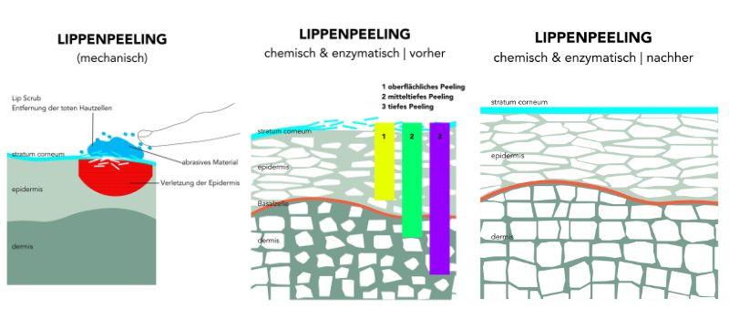 Lippenpflege-Tipps Lippenpeeling The Baumery