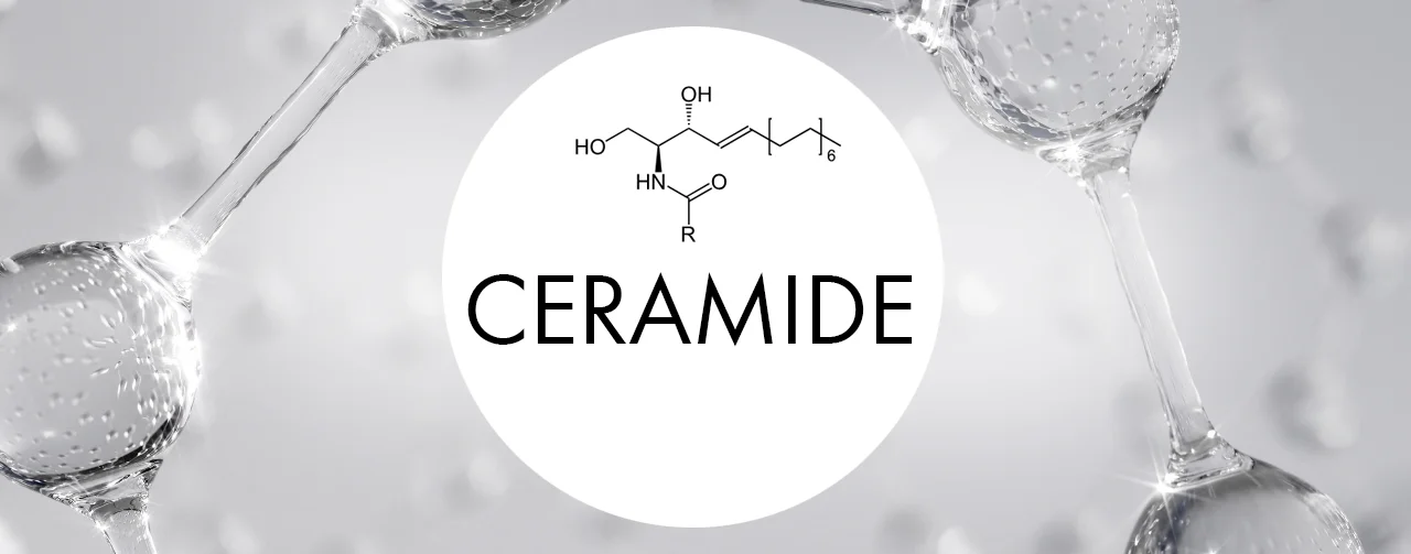 Ceramide Kategorie
