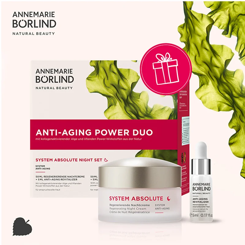 SYSTEM ABSOLUTE, Nachtpflege-Set, 1 Stück