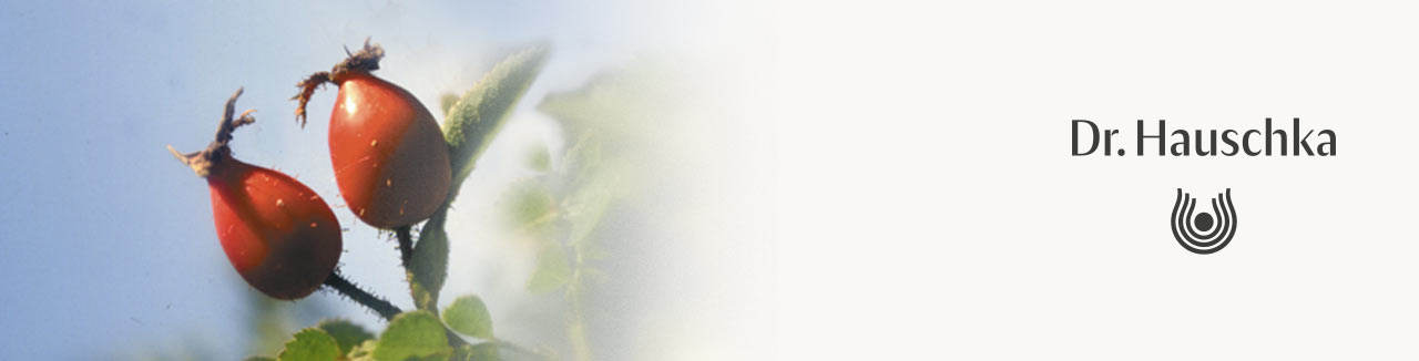 01-2022_hauschka_lippenpflege_unterkategoriebilder_1280x326.jpg