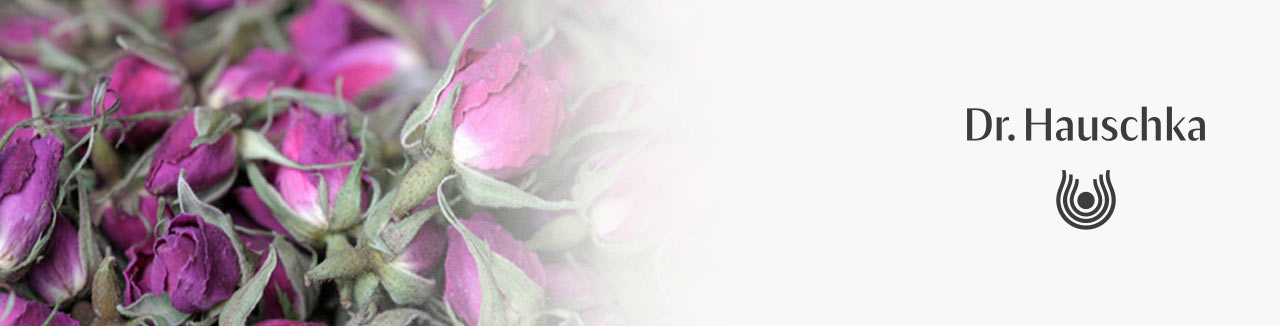 01-2022_hauschka_tagespflege_unterkategoriebilder_1280x326.jpg