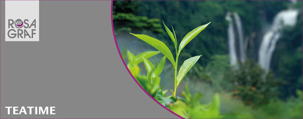 02-2019_rosagraf_kategoriebilder_teatime_1280x503.jpg