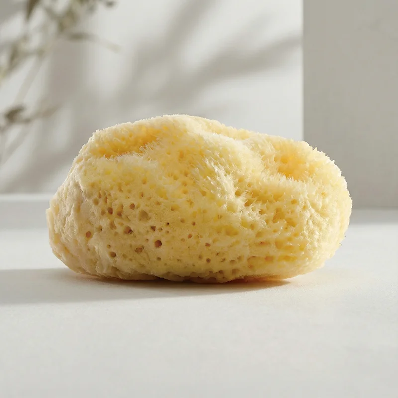 Marine Balance, Natur Gesichtsschwamm, 1 Stück