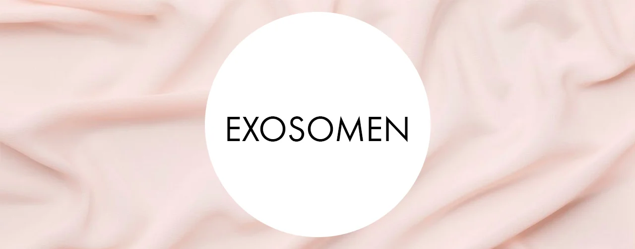 Exosomen