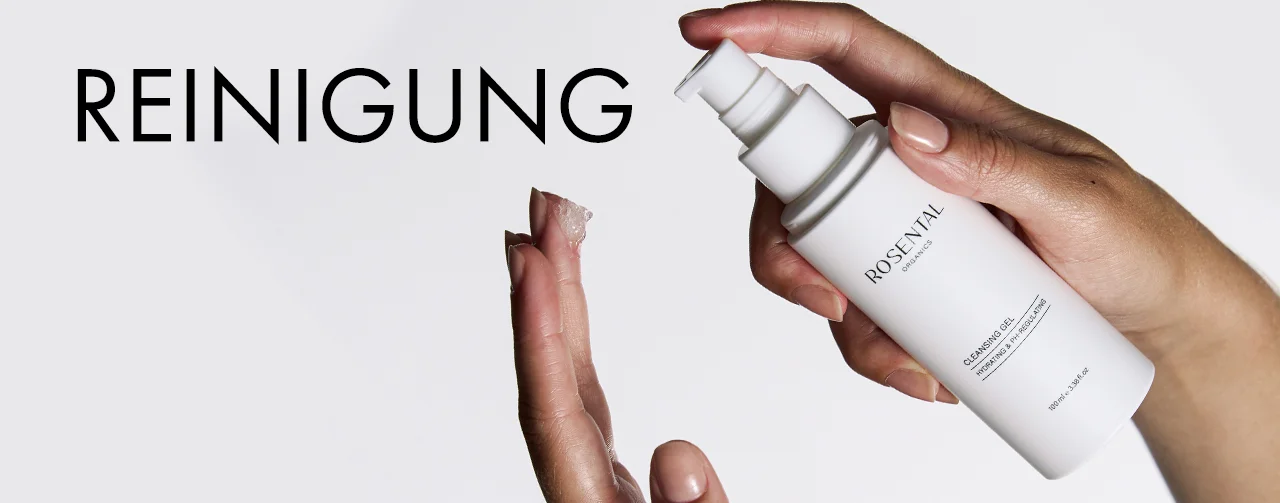 Reinigung