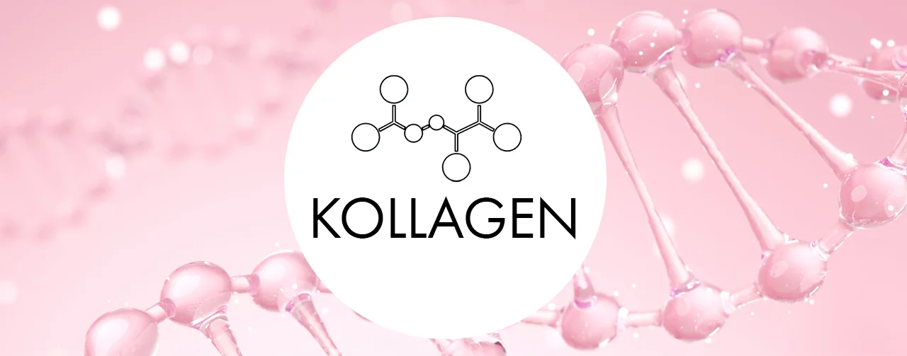 Kollagen Kategorie