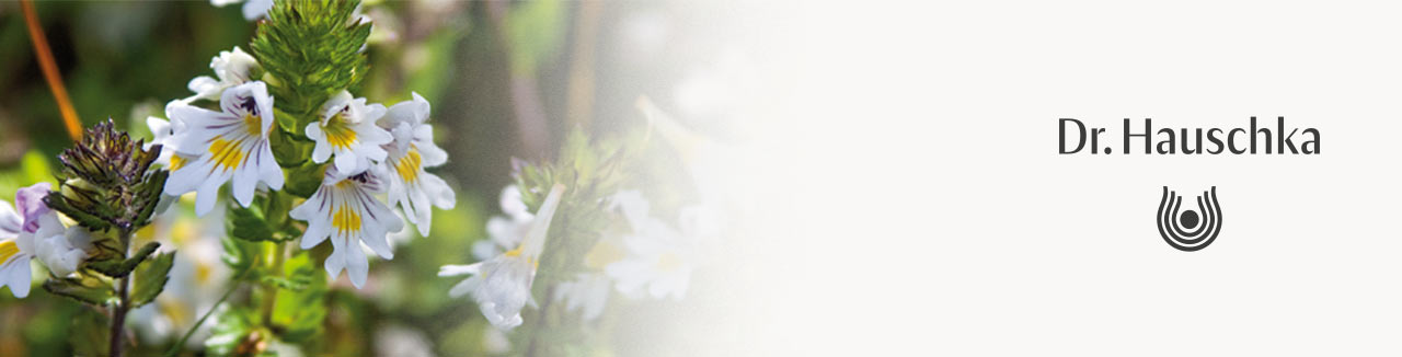 01-2022_hauschka_augenpflege_unterkategoriebilder_1280x326.jpg